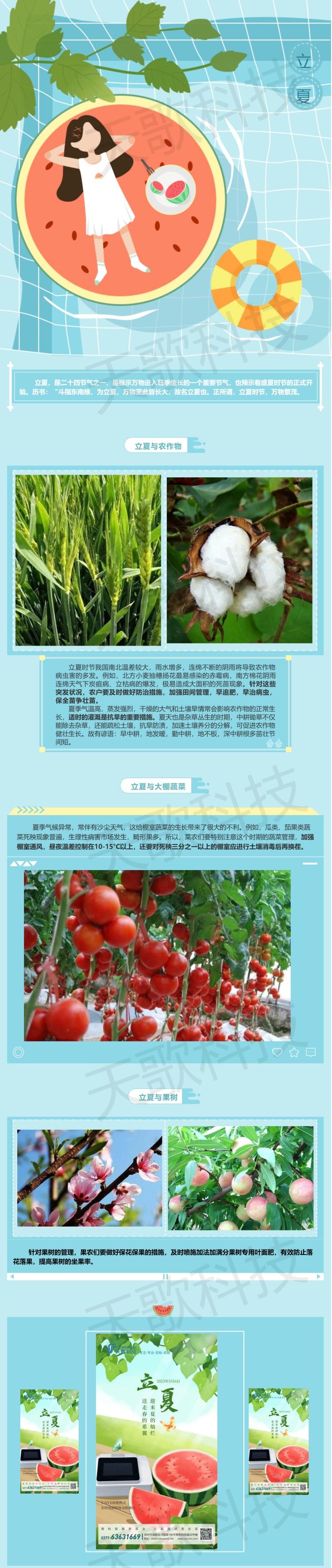 立夏_送走春的希冀，迎來夏的燦爛.jpg
