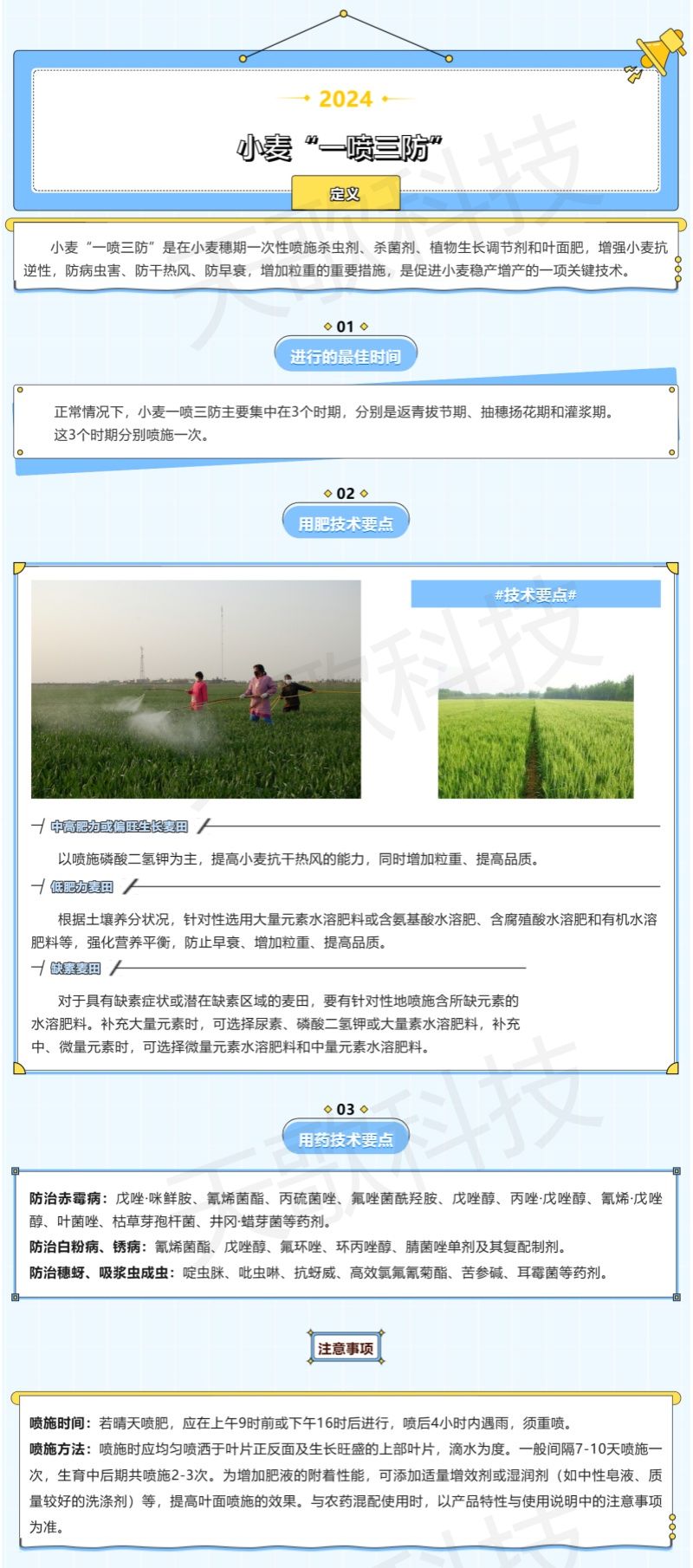 農(nóng)技分享_什么是小麥“一噴三防”？技術(shù)要點(diǎn)都有哪些？-加水印.jpg